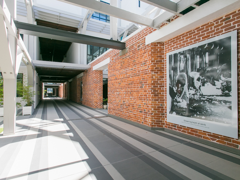 117/36 Queen Victoria Street, FREMANTLE, WA 6160